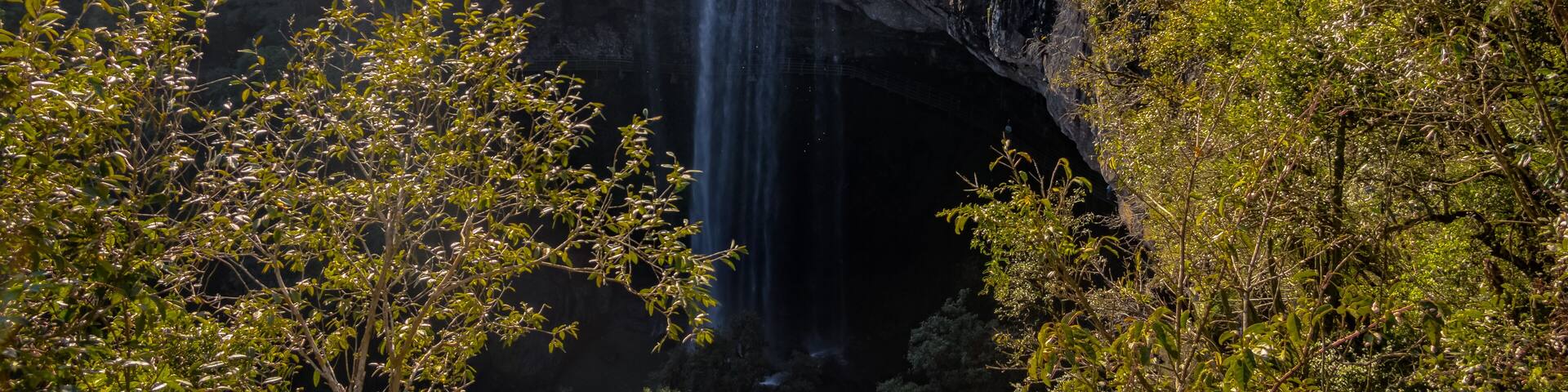A waterfall cascading down a rocky cliff surrounded by lush greenery.