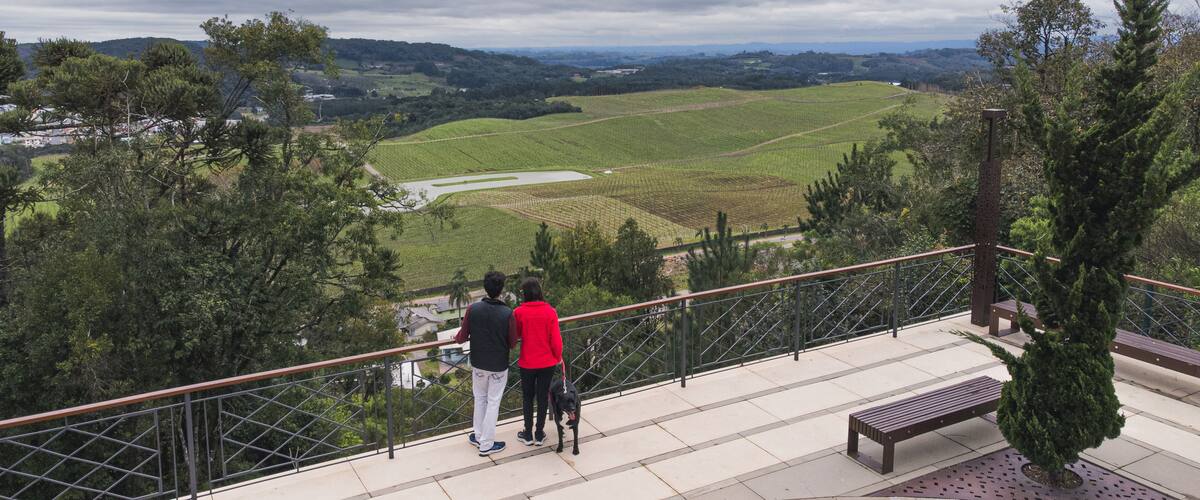 A scenic overlook with a view of a valley, a bridge, and a dog.