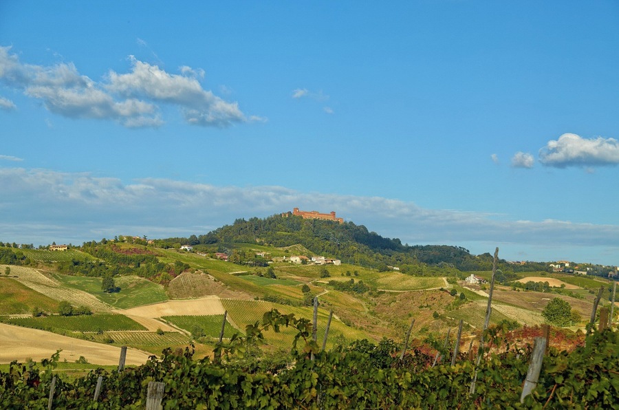 Castello di Montalto