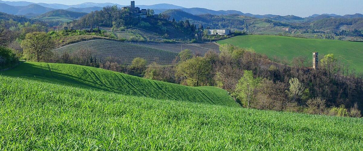Stefanago, dal Monte Reale