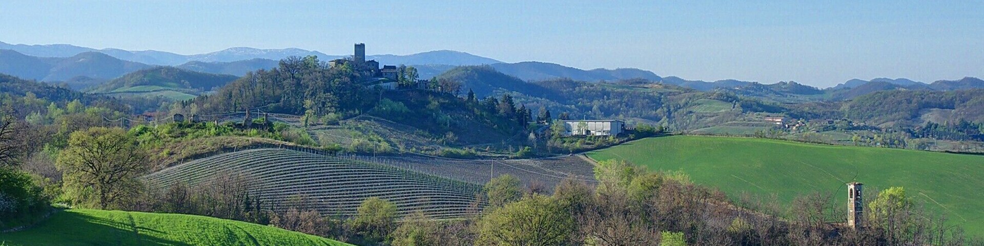Stefanago, dal Monte Reale