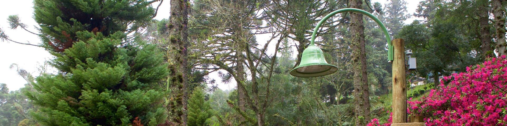 Parque do Lago Negro qui includes fleurs et jardin