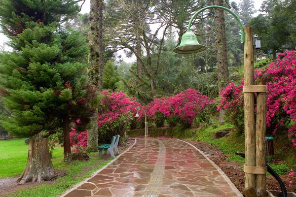 Parque do Lago Negro qui includes fleurs et jardin