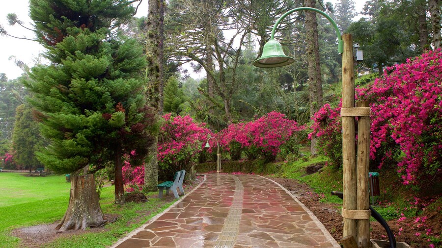 Parque do Lago Negro
