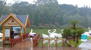 Black Lake Park showing rides, a garden and a lake or waterhole