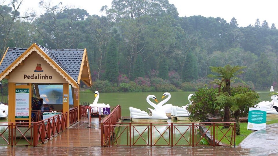 Black Lake Park which includes a park, a lake or waterhole and rides