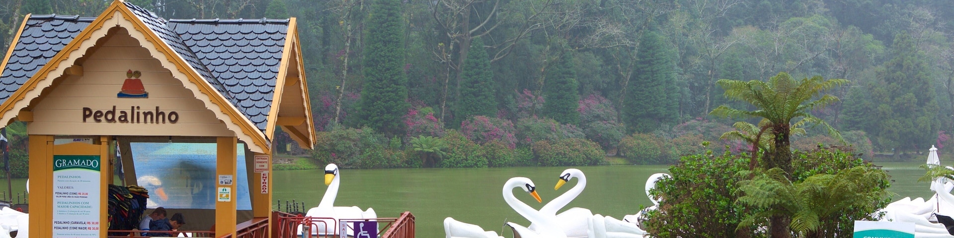 Parque do Lago Negro mostrando um lago ou charco, passeios e um jardim