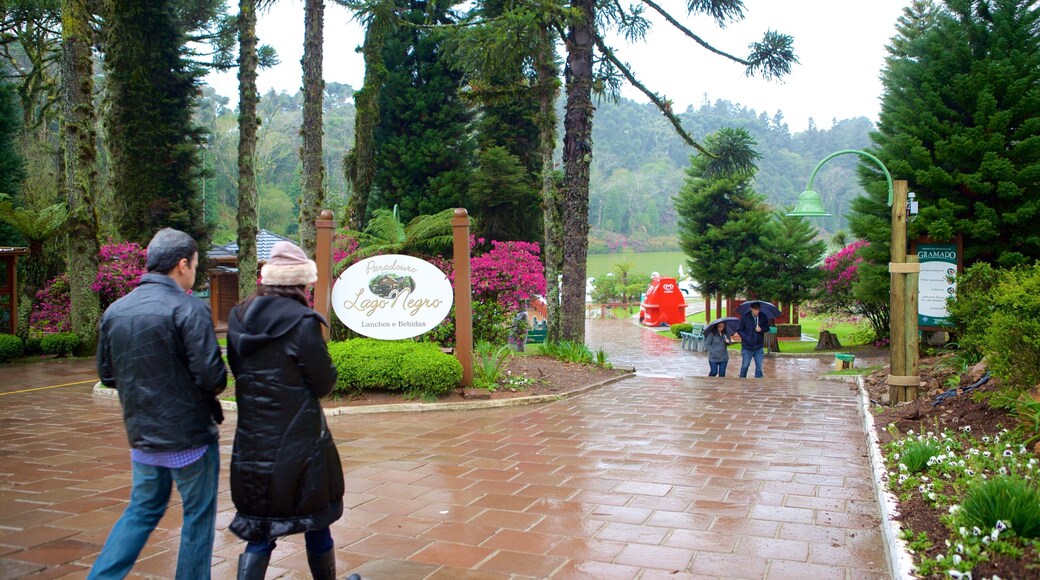 Black Lake Park featuring a park as well as a couple