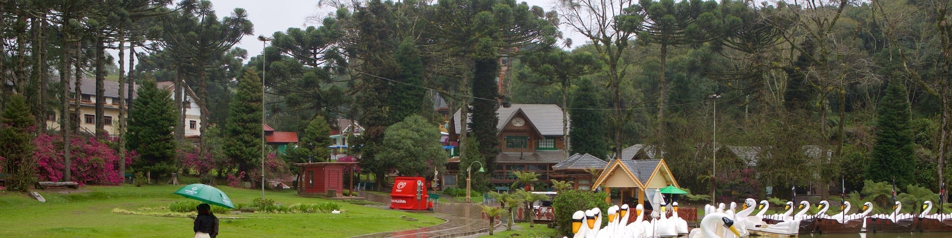 Black Lake Park featuring a garden and a pond