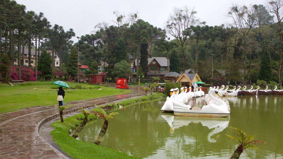 Parque do Lago Negro ofreciendo un jardín y un estanque