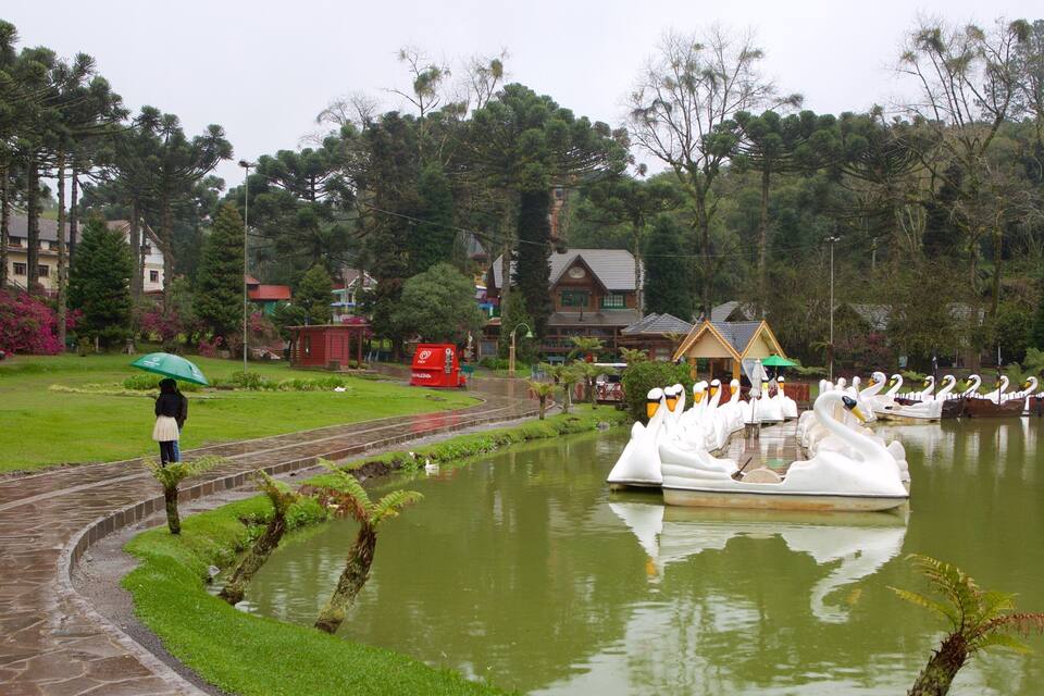 A park with a pond, swan-shaped boats, and a person with an umbrella.