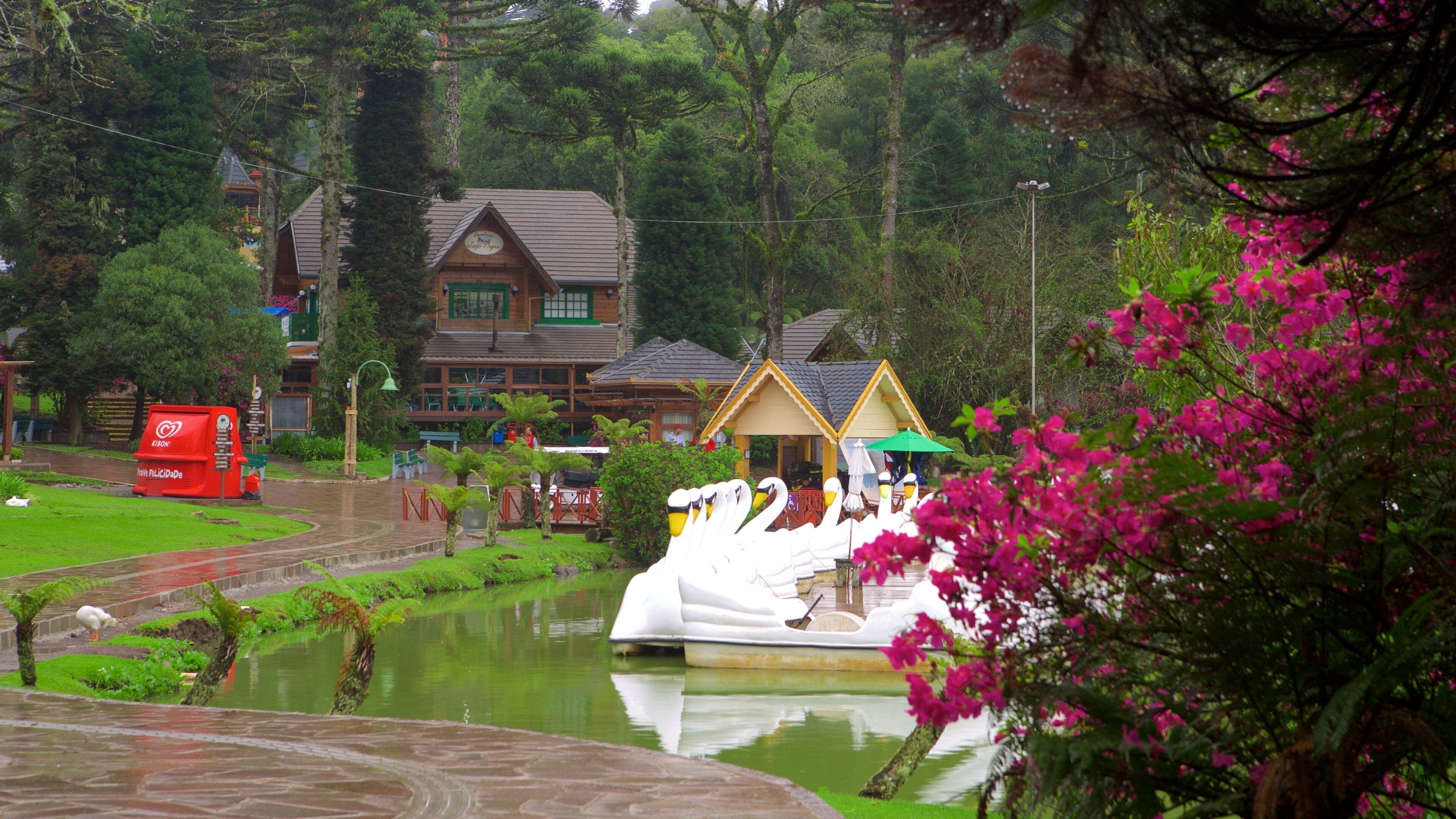 Black Lake Park showing rides, a garden and a lake or waterhole