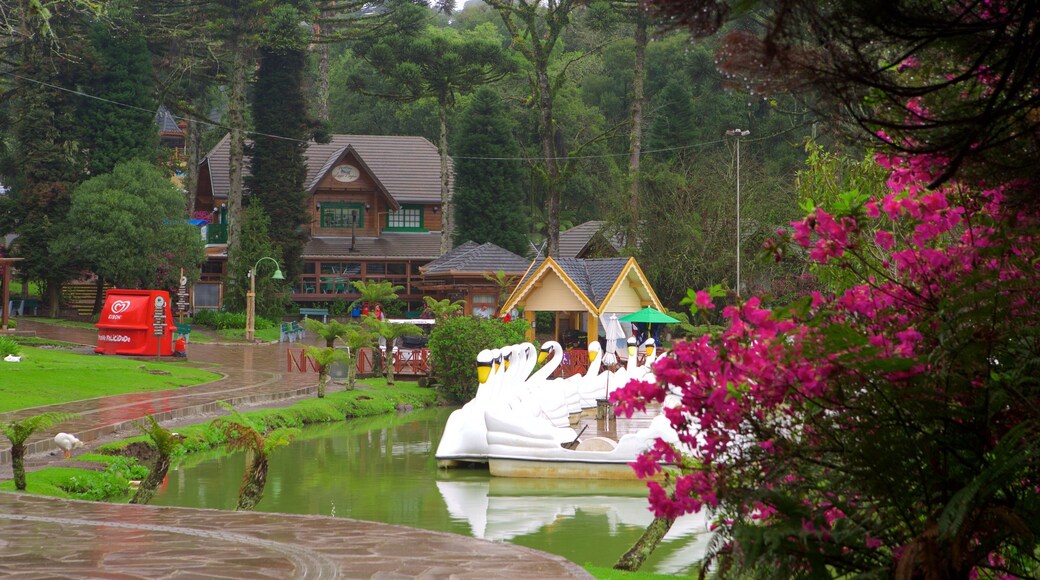 Black Lake Park showing rides, a garden and a lake or waterhole