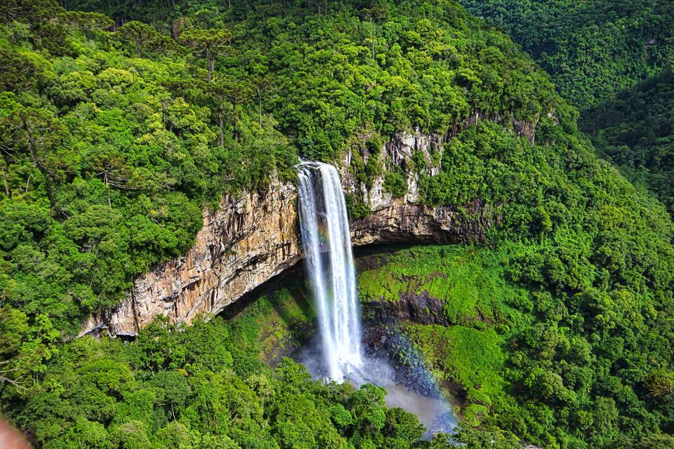 Uma cascata desce por um penhasco, cercada por uma floresta verde densa.