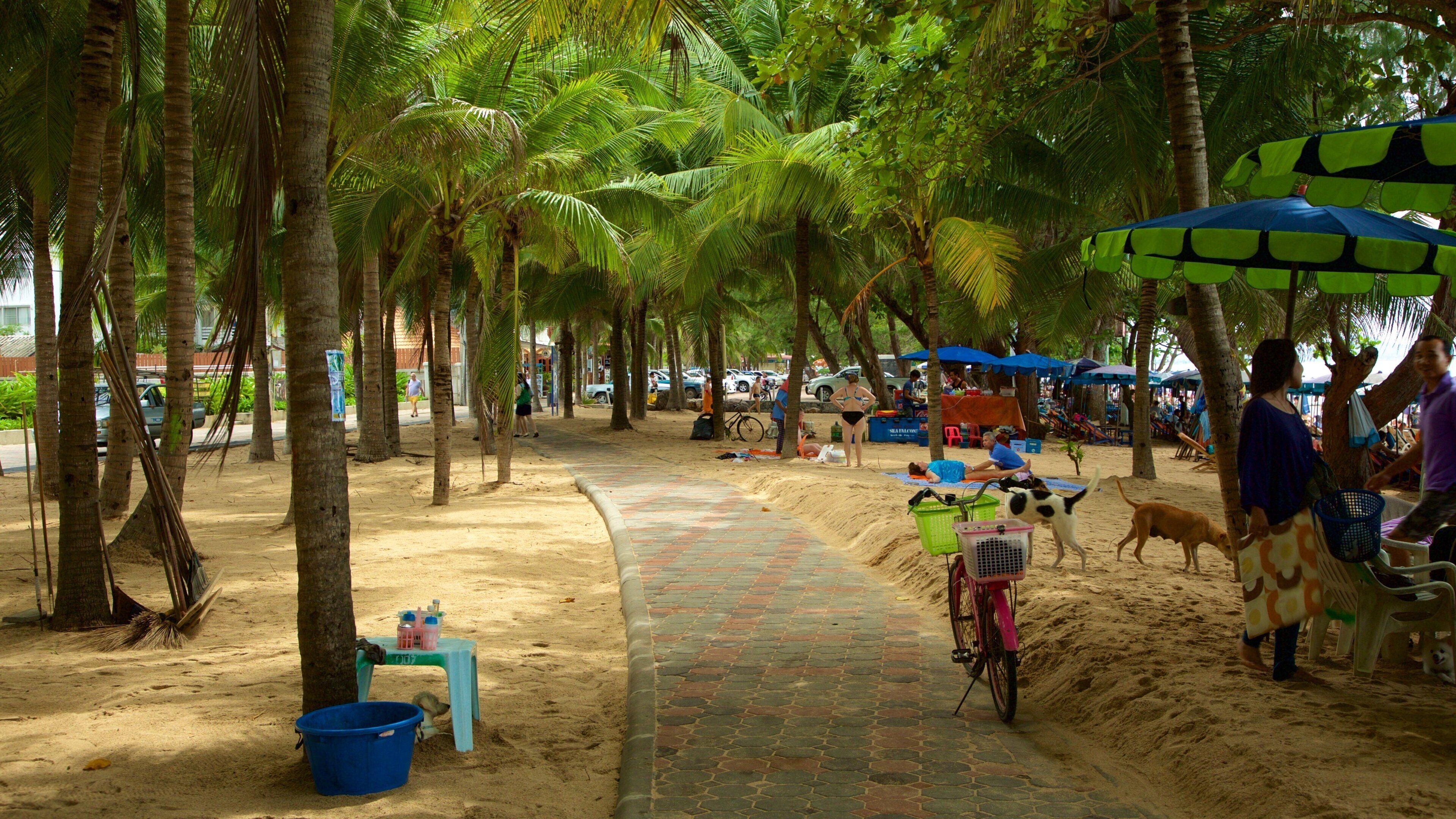 Dongtan Beach showing outdoor eating, markets and a beach