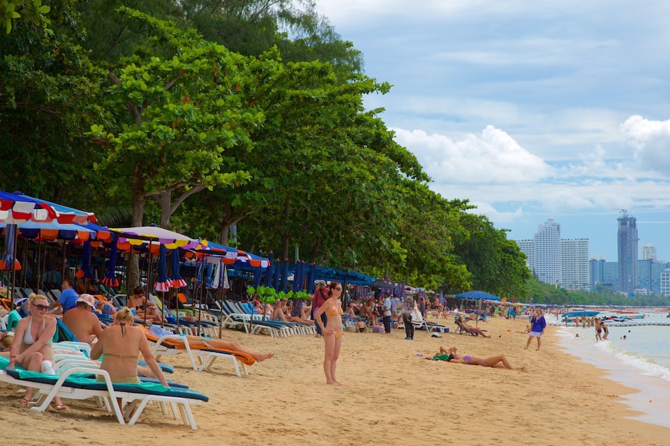 A crowded beach with people sunbathing and swimming, surrounded by trees and a city skyline in the background.