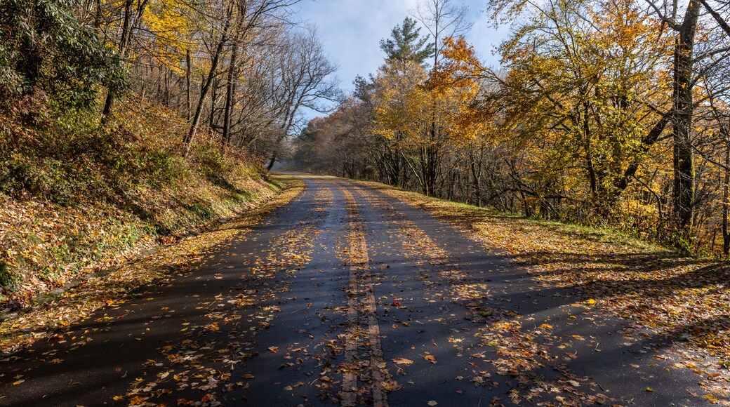 เวสต์แอชวิลล์