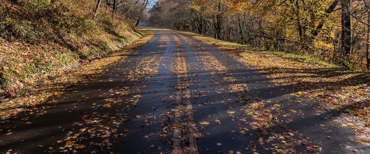 Autumn road in Great Smoky Mountains National Park with colorful leaves of Appalachian fall color.