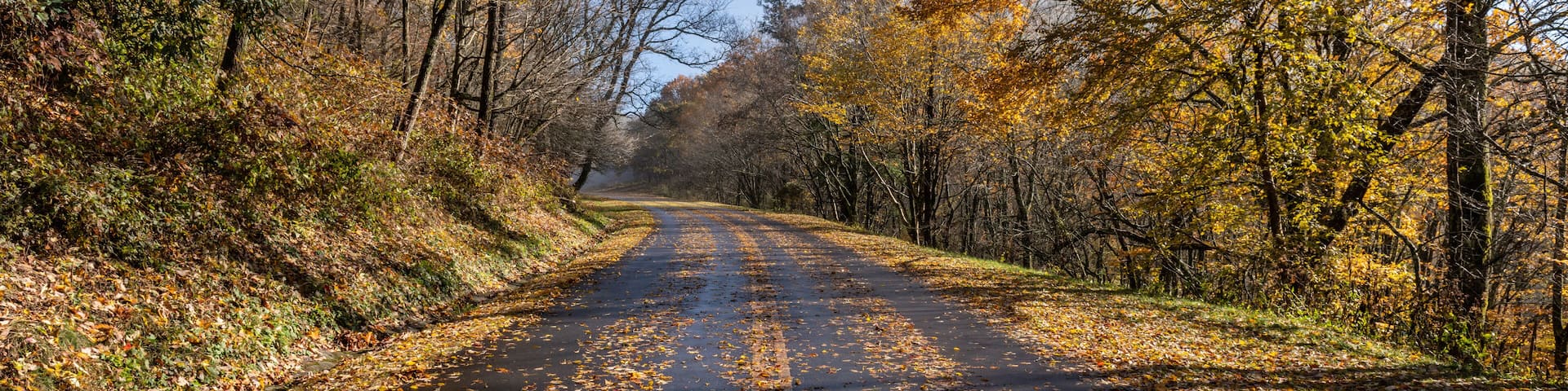 Autumn road in Great Smoky Mountains National Park with colorful leaves of Appalachian fall color.