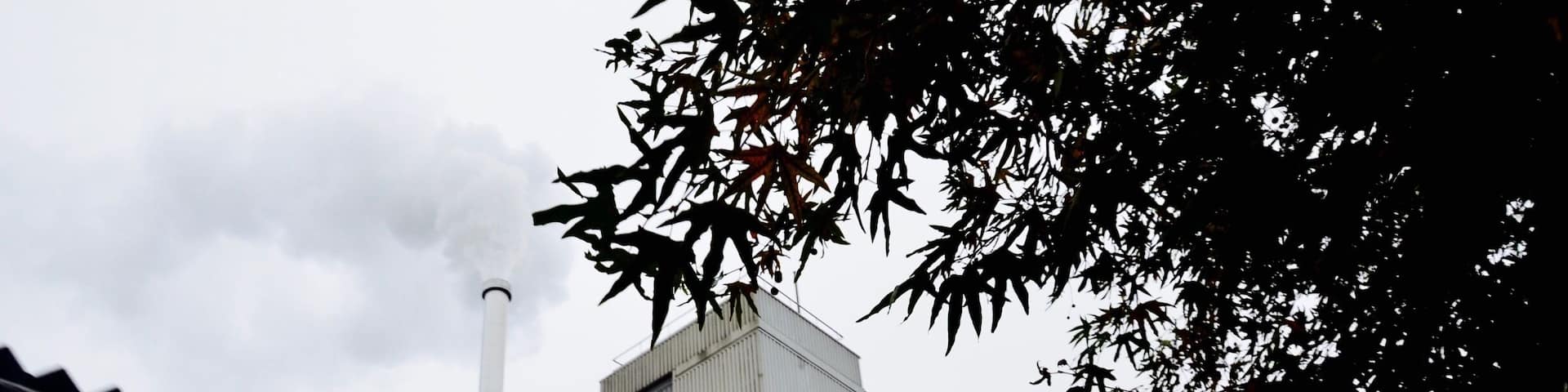 The real Zaans chocolate factory #industrialholland #holland