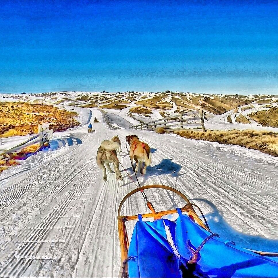 One of the most amazing things we've ever done! #DogSledding through #Snow Farm!