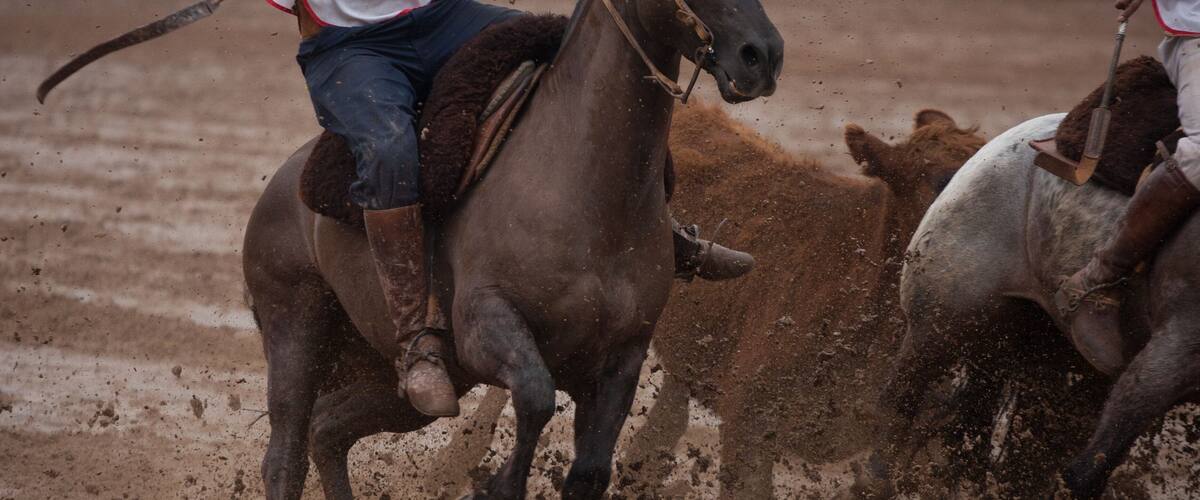 A person on horseback in a rodeo arena, with a horse and a calf in motion.
