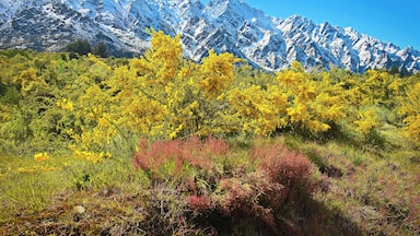 This isn't quite the Remarkables Ski Area but it's not that far away. It was November and the biggest snow fall that Queenstown had ever had in that month fortuitously dumped some lovely white stuff all over the mountain tops. We went out the next day and could only get so far before the road was closed due to snow clearing activities. Still, it was a lovely drive!
