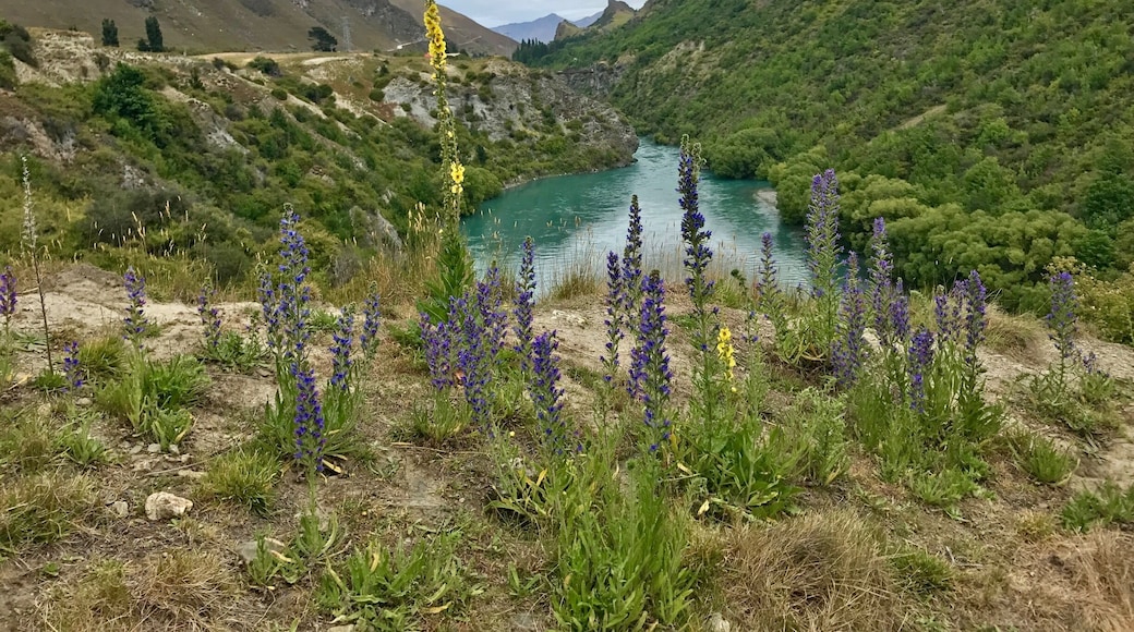 Great area for a hike.