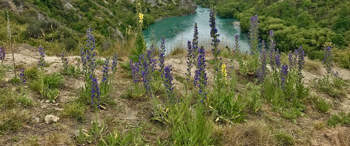 Great area for a hike.