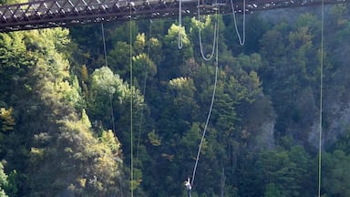 Kawarau Bridge, where the roots of bungy jumping lie.
I was not brave enough to even consider a jump, but it was cool just watching other people do it.