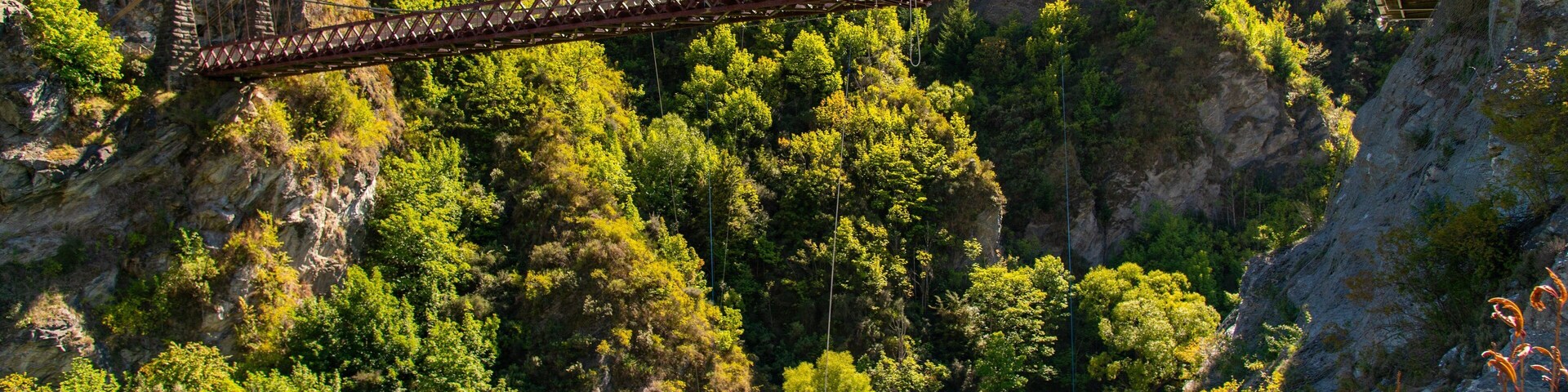 AJ Hackett Bungy Jumping