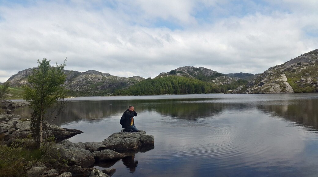 We had a Sunday light hike going to the old farmhouse.
#hiking