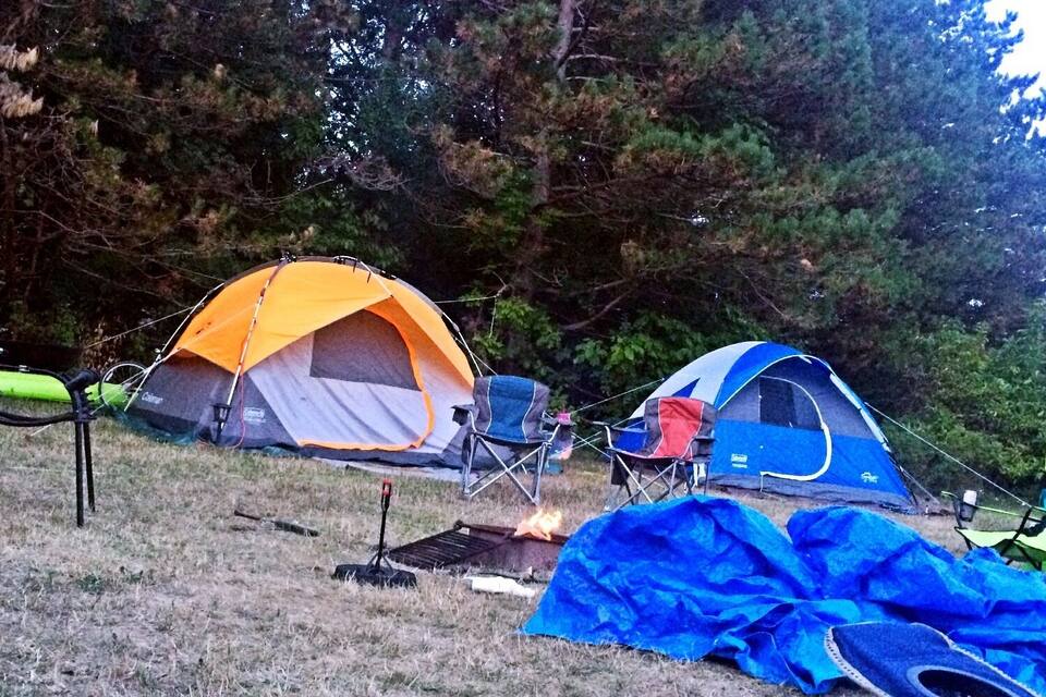 Two tents, one orange and one blue, set up in a grassy field with trees in the background.