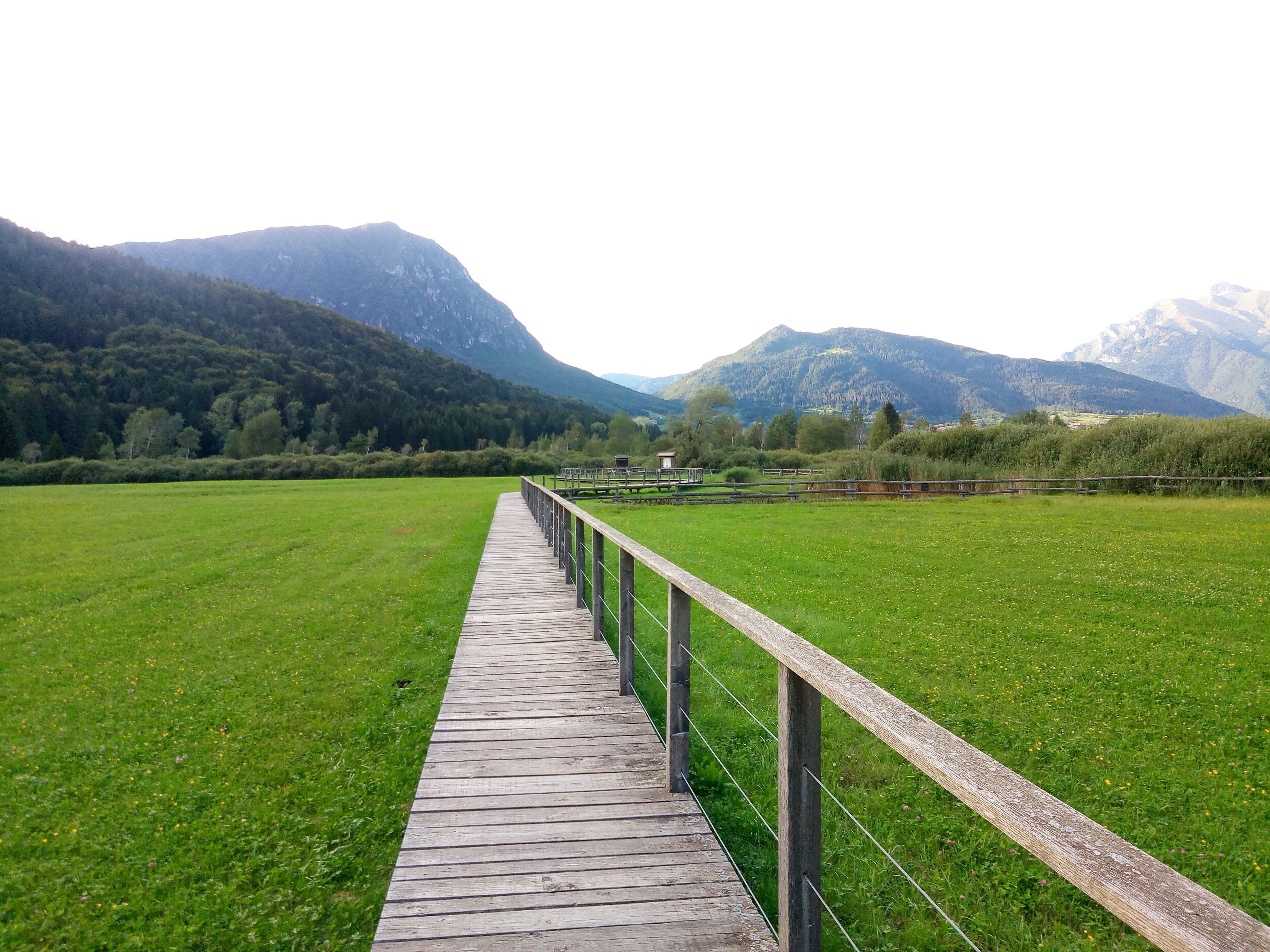 Further authorizations required by the Italian "Code of Cultural Heritage and Landscape" (Codice Urbani), under Legislative Decree No. 42, dated January 22, 2004, and its subsequent amendments, regarding the reuse of the picture. This image reproduces a property belonging to the Italian cultural heritage as entrusted to the Italian government. Such images are regulated by Articles 106 et seq. of the Italian Code of Cultural Heritage and Landscape under Legislative Decree No. 42, dated January 22, 2004, and its subsequent amendments. These regulations, unrelated to copyright regulations, establish a system for the protection of Italy’s historic and artistic heritage and its standards of dignity. Among other things, these regulations provide for the payment of a concession fee by those who intend to benefit economically from reproductions of property belonging to the Italian cultural heritage. Reproduction of this image is permitted for personal use or study. A further authorization by the Italian Ministry of Heritage and Culture is required for reproduction for any other purpose, and particularly for commercial use. Such commercial use includes, but is not limited to, use in (a) any form of advertising, and (b) any company name, logo, trademark, image, activity, or product.