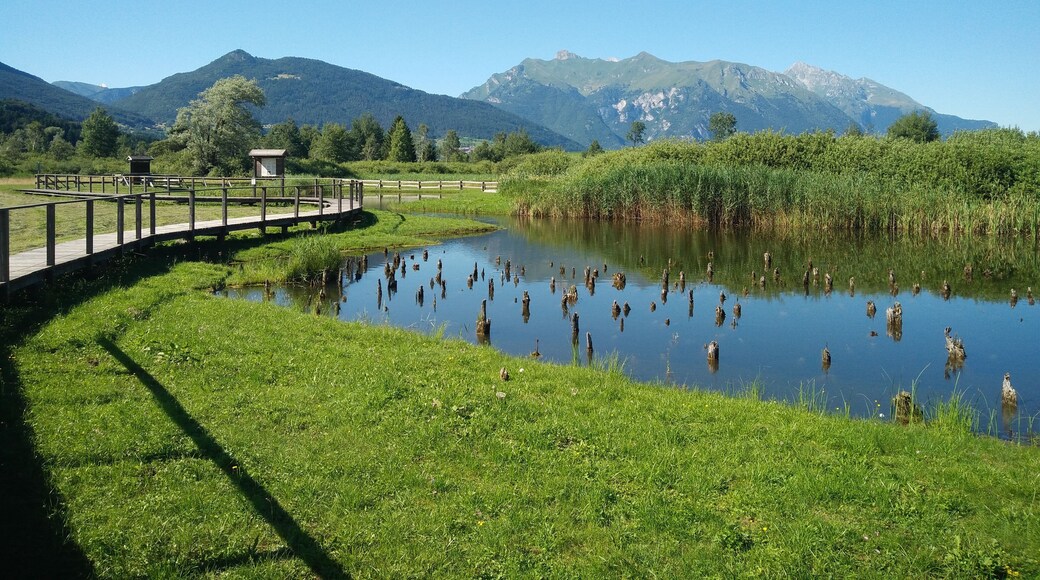 Further authorizations required by the Italian "Code of Cultural Heritage and Landscape" (Codice Urbani), under Legislative Decree No. 42, dated January 22, 2004, and its subsequent amendments, regarding the reuse of the picture. This image reproduces a property belonging to the Italian cultural heritage as entrusted to the Italian government. Such images are regulated by Articles 106 et seq. of the Italian Code of Cultural Heritage and Landscape under Legislative Decree No. 42, dated January 22, 2004, and its subsequent amendments. These regulations, unrelated to copyright regulations, establish a system for the protection of Italy’s historic and artistic heritage and its standards of dignity. Among other things, these regulations provide for the payment of a concession fee by those who intend to benefit economically from reproductions of property belonging to the Italian cultural heritage. Reproduction of this image is permitted for personal use or study. A further authorization by the Italian Ministry of Heritage and Culture is required for reproduction for any other purpose, and particularly for commercial use. Such commercial use includes, but is not limited to, use in (a) any form of advertising, and (b) any company name, logo, trademark, image, activity, or product.