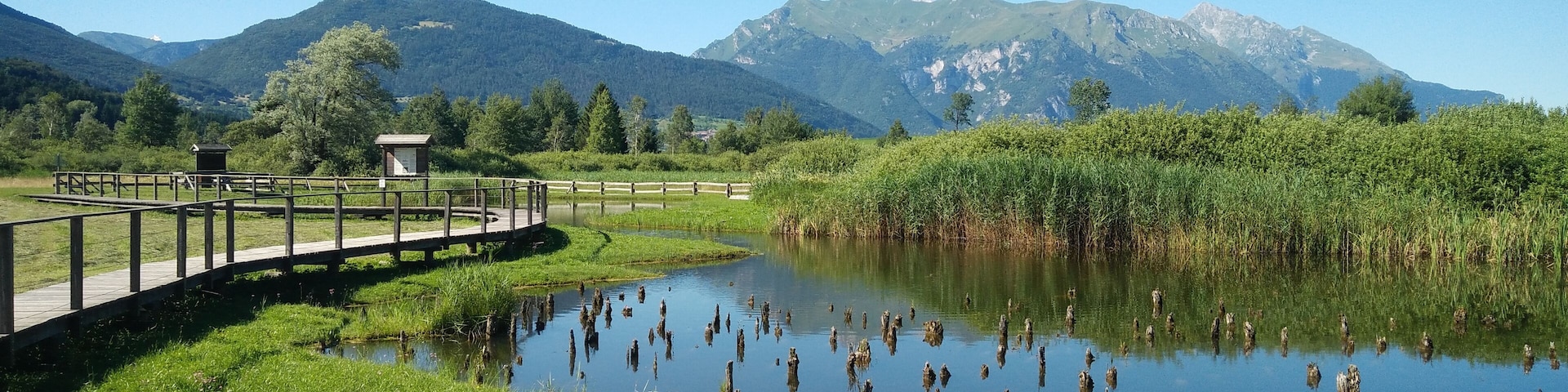 Further authorizations required by the Italian "Code of Cultural Heritage and Landscape" (Codice Urbani), under Legislative Decree No. 42, dated January 22, 2004, and its subsequent amendments, regarding the reuse of the picture. This image reproduces a property belonging to the Italian cultural heritage as entrusted to the Italian government. Such images are regulated by Articles 106 et seq. of the Italian Code of Cultural Heritage and Landscape under Legislative Decree No. 42, dated January 22, 2004, and its subsequent amendments. These regulations, unrelated to copyright regulations, establish a system for the protection of Italy’s historic and artistic heritage and its standards of dignity. Among other things, these regulations provide for the payment of a concession fee by those who intend to benefit economically from reproductions of property belonging to the Italian cultural heritage. Reproduction of this image is permitted for personal use or study. A further authorization by the Italian Ministry of Heritage and Culture is required for reproduction for any other purpose, and particularly for commercial use. Such commercial use includes, but is not limited to, use in (a) any form of advertising, and (b) any company name, logo, trademark, image, activity, or product.