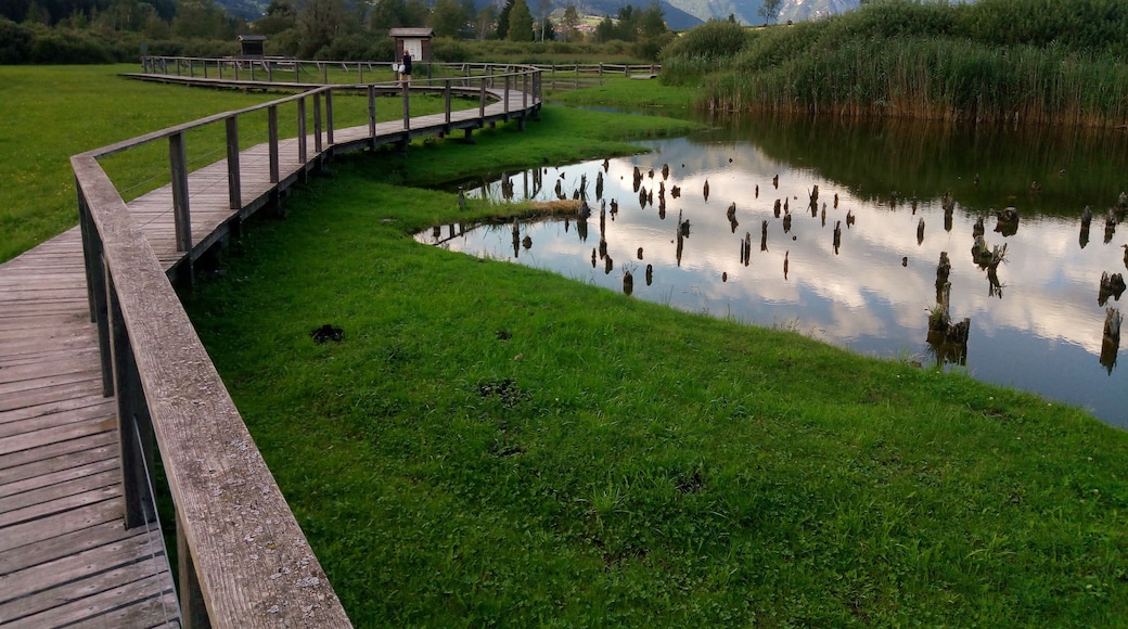 Further authorizations required by the Italian "Code of Cultural Heritage and Landscape" (Codice Urbani), under Legislative Decree No. 42, dated January 22, 2004, and its subsequent amendments, regarding the reuse of the picture. This image reproduces a property belonging to the Italian cultural heritage as entrusted to the Italian government. Such images are regulated by Articles 106 et seq. of the Italian Code of Cultural Heritage and Landscape under Legislative Decree No. 42, dated January 22, 2004, and its subsequent amendments. These regulations, unrelated to copyright regulations, establish a system for the protection of Italyâs historic and artistic heritage and its standards of dignity. Among other things, these regulations provide for the payment of a concession fee by those who intend to benefit economically from reproductions of property belonging to the Italian cultural heritage. Reproduction of this image is permitted for personal use or study. A further authorization by the Italian Ministry of Heritage and Culture is required for reproduction for any other purpose, and particularly for commercial use. Such commercial use includes, but is not limited to, use in (a) any form of advertising, and (b) any company name, logo, trademark, image, activity, or product.