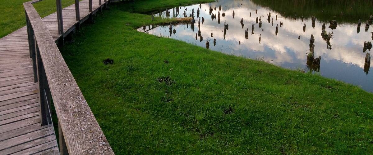 Further authorizations required by the Italian "Code of Cultural Heritage and Landscape" (Codice Urbani), under Legislative Decree No. 42, dated January 22, 2004, and its subsequent amendments, regarding the reuse of the picture. This image reproduces a property belonging to the Italian cultural heritage as entrusted to the Italian government. Such images are regulated by Articles 106 et seq. of the Italian Code of Cultural Heritage and Landscape under Legislative Decree No. 42, dated January 22, 2004, and its subsequent amendments. These regulations, unrelated to copyright regulations, establish a system for the protection of Italy’s historic and artistic heritage and its standards of dignity. Among other things, these regulations provide for the payment of a concession fee by those who intend to benefit economically from reproductions of property belonging to the Italian cultural heritage. Reproduction of this image is permitted for personal use or study. A further authorization by the Italian Ministry of Heritage and Culture is required for reproduction for any other purpose, and particularly for commercial use. Such commercial use includes, but is not limited to, use in (a) any form of advertising, and (b) any company name, logo, trademark, image, activity, or product.