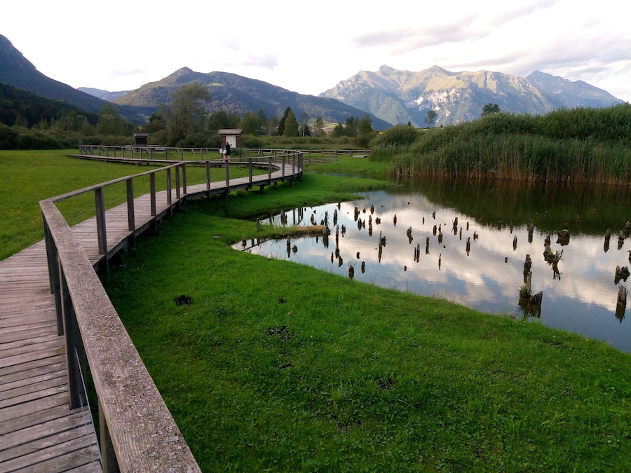 Further authorizations required by the Italian "Code of Cultural Heritage and Landscape" (Codice Urbani), under Legislative Decree No. 42, dated January 22, 2004, and its subsequent amendments, regarding the reuse of the picture. This image reproduces a property belonging to the Italian cultural heritage as entrusted to the Italian government. Such images are regulated by Articles 106 et seq. of the Italian Code of Cultural Heritage and Landscape under Legislative Decree No. 42, dated January 22, 2004, and its subsequent amendments. These regulations, unrelated to copyright regulations, establish a system for the protection of Italy’s historic and artistic heritage and its standards of dignity. Among other things, these regulations provide for the payment of a concession fee by those who intend to benefit economically from reproductions of property belonging to the Italian cultural heritage. Reproduction of this image is permitted for personal use or study. A further authorization by the Italian Ministry of Heritage and Culture is required for reproduction for any other purpose, and particularly for commercial use. Such commercial use includes, but is not limited to, use in (a) any form of advertising, and (b) any company name, logo, trademark, image, activity, or product.