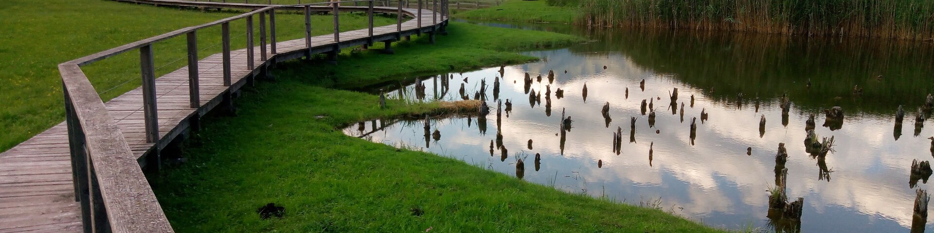 Further authorizations required by the Italian "Code of Cultural Heritage and Landscape" (Codice Urbani), under Legislative Decree No. 42, dated January 22, 2004, and its subsequent amendments, regarding the reuse of the picture. This image reproduces a property belonging to the Italian cultural heritage as entrusted to the Italian government. Such images are regulated by Articles 106 et seq. of the Italian Code of Cultural Heritage and Landscape under Legislative Decree No. 42, dated January 22, 2004, and its subsequent amendments. These regulations, unrelated to copyright regulations, establish a system for the protection of Italy’s historic and artistic heritage and its standards of dignity. Among other things, these regulations provide for the payment of a concession fee by those who intend to benefit economically from reproductions of property belonging to the Italian cultural heritage. Reproduction of this image is permitted for personal use or study. A further authorization by the Italian Ministry of Heritage and Culture is required for reproduction for any other purpose, and particularly for commercial use. Such commercial use includes, but is not limited to, use in (a) any form of advertising, and (b) any company name, logo, trademark, image, activity, or product.