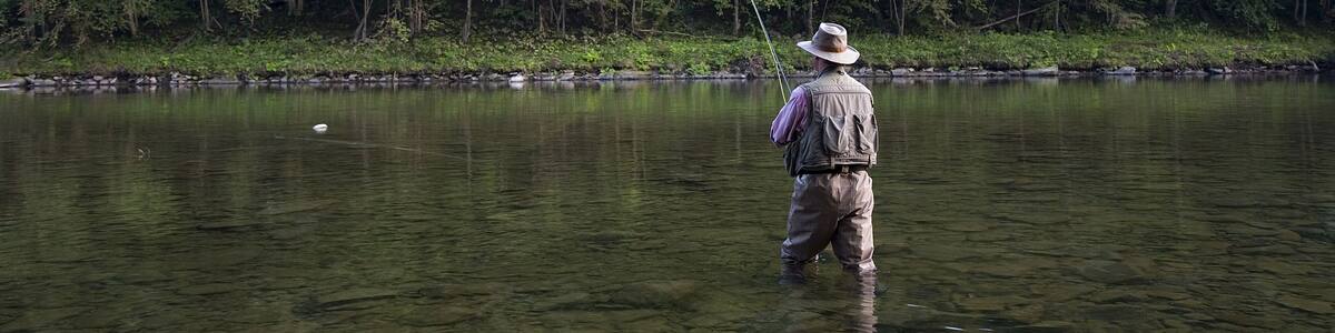 Man Fly Fishing, Cairns Pool, Beaverkill River, Catskill Park, New York, USA
