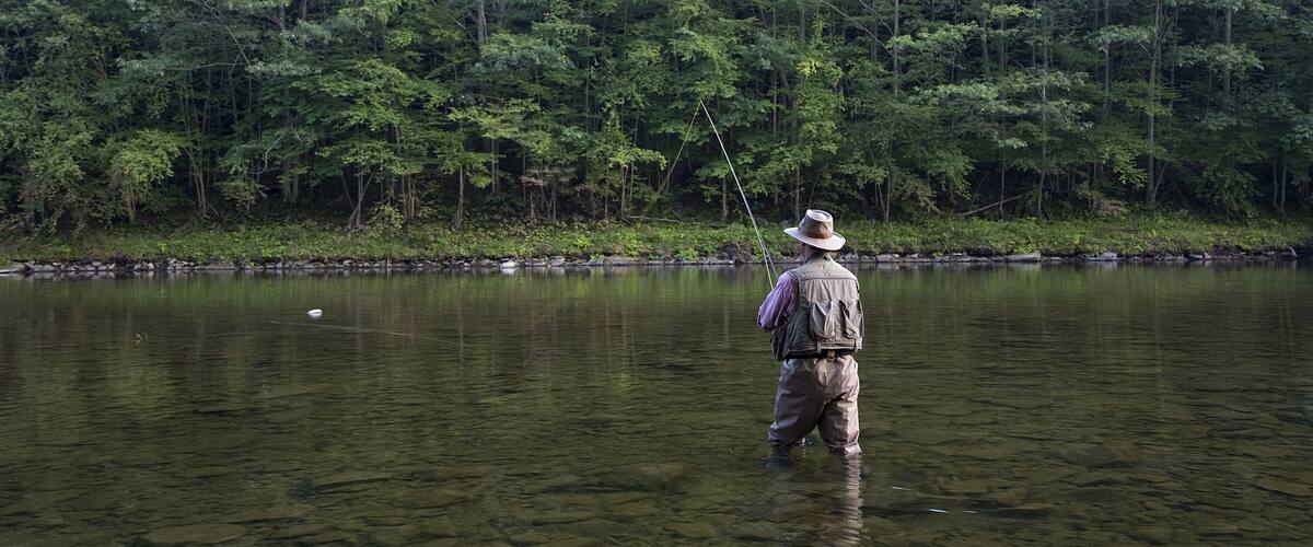 Man Fly Fishing, Cairns Pool, Beaverkill River, Catskill Park, New York, USA