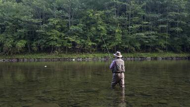 Man Fly Fishing, Cairns Pool, Beaverkill River, Catskill Park, New York, USA