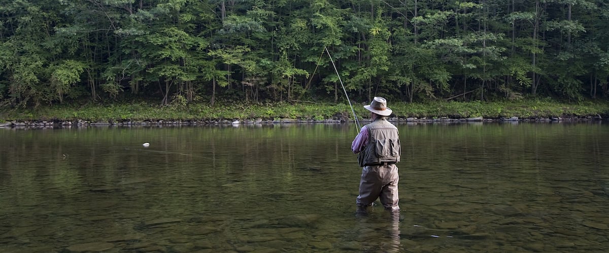 A person fishing in a clear river surrounded by dense forest.