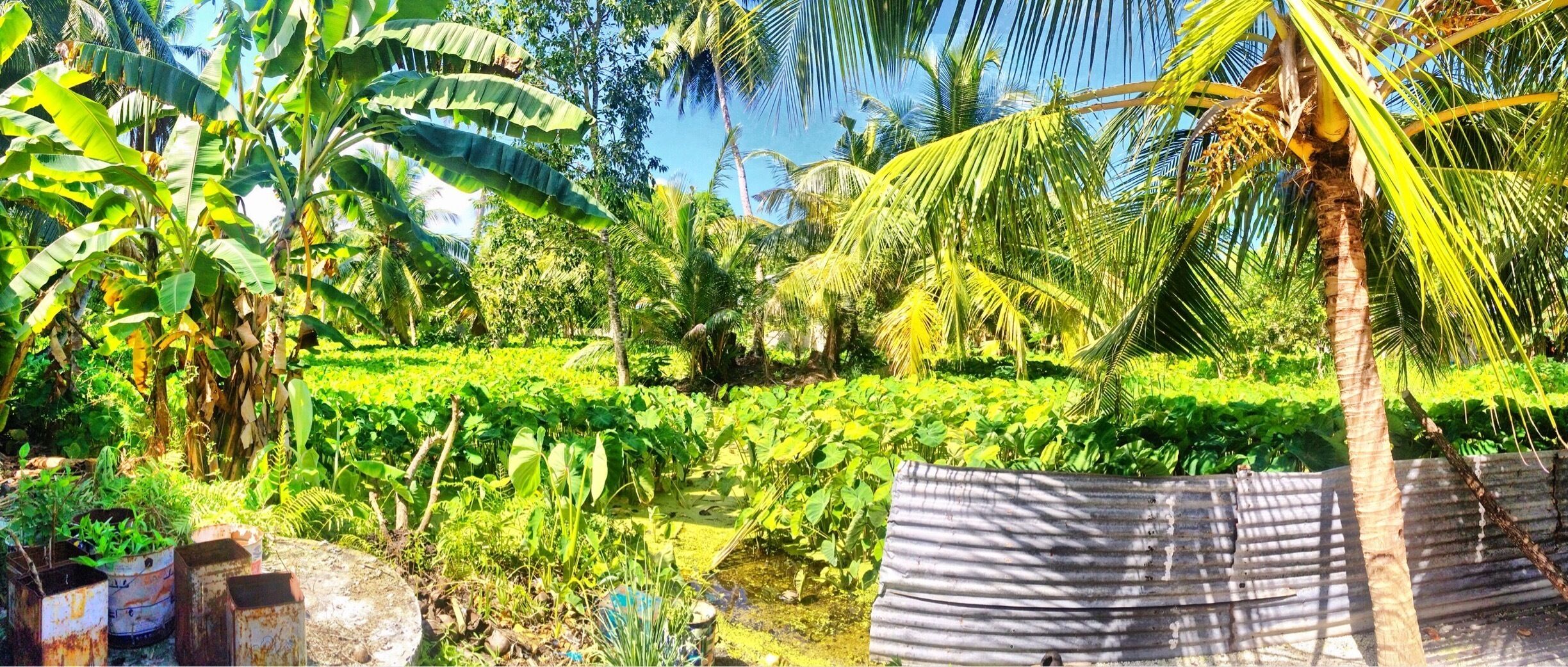 Green Garden of Fuvahmulah