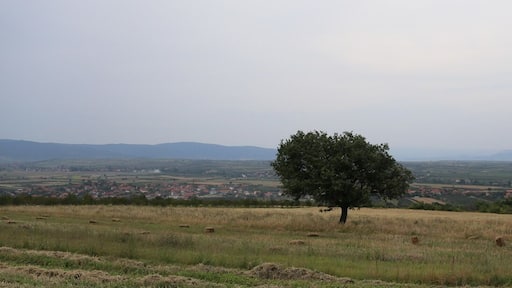 Beatuiful view of the Serbian countryside just outside Prokuplje, Serbia. We stoped with our car to enjoy the scenery and waving to all the farmers with their tractors passing by. From our journey to Mongolia, july 2014, for the SOS Children's Villages. #theadventurerally #projectmongolia #soschildrensvillages #aventyrsrally #hampuselinochhajen #arvika #sweden #july2014