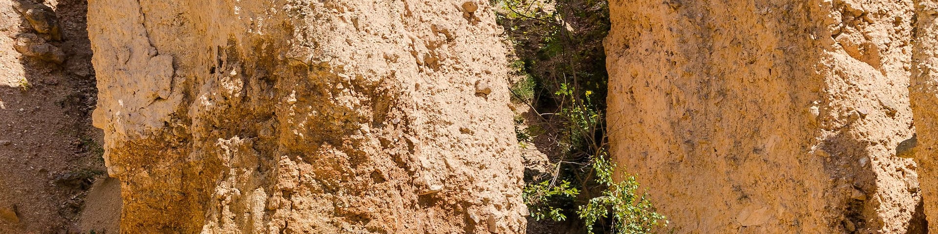 A rocky landscape with tall, narrow rock formations.