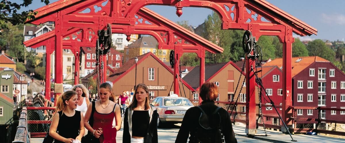 Puente de la Ciudad Vieja mostrando una pequeña ciudad o pueblo, escenas urbanas y un puente