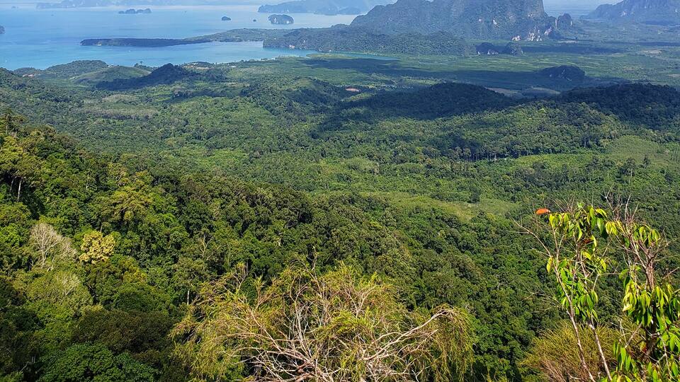 One of the many beautiful lookouts on the Dragon Crest Trail. A 3.7km walk on sandy, muddy, rocky and tree roots! Literally a walk through the jungle!
#nature #hiking