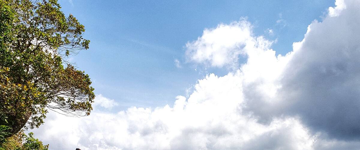 At 1600 ft high, a 3.7 km hike to Khao Ngon Nak, (also known as Dragon Crest) leads to a beautiful view of Krabi.
#hiking #nature